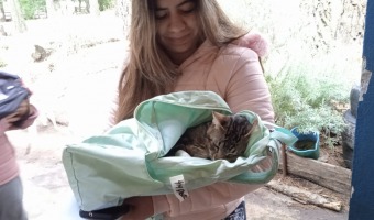 ZOONOSIS REALIZ UNA JORNADA DE ATENCIN EN MAR AZUL